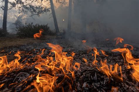 How zombie fires contribute more carbon to the atmosphere